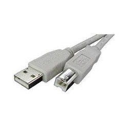 USB  6ft cable - New